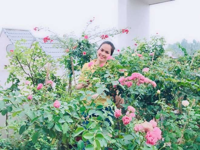 Vườn hoa hồng rực rỡ trên sân thượng của cô gái 9X Vĩnh Phúc tặng mẹ - 6