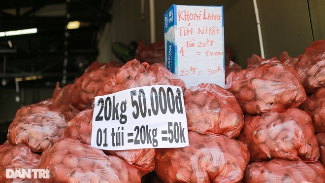 Người Sài Gòn giải cứu hàng ngàn tấn khoai lang miền Tây - 2