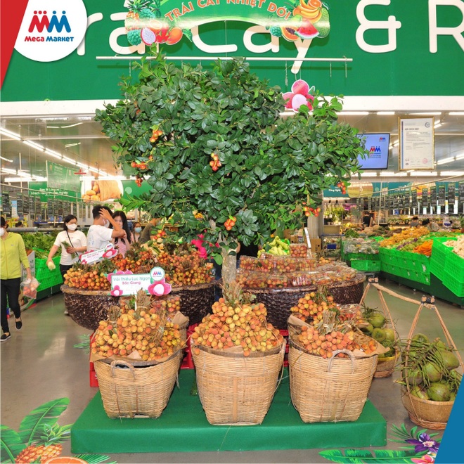 MM Mega Market đồng hành cùng Bắc Giang tiêu thụ hàng trăm tấn nông sản - 1 MM Mega Market đồng hành cùng Bắc Giang tiêu thụ hàng trăm tấn nông sản - 1