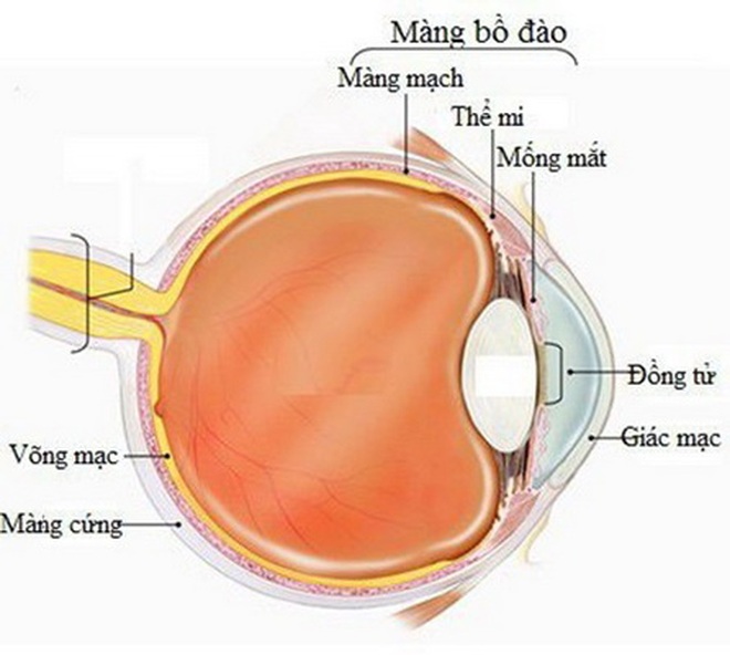 Loại thuốc mới trị ung thư mắt hiếm gặp - 1