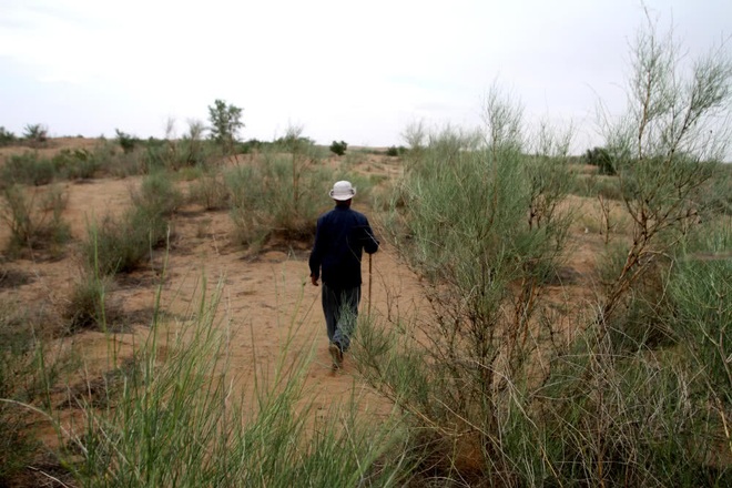 Hành trình kỳ diệu của ông lão 80 tuổi suốt 20 năm trồng cây giữa sa mạc - 3