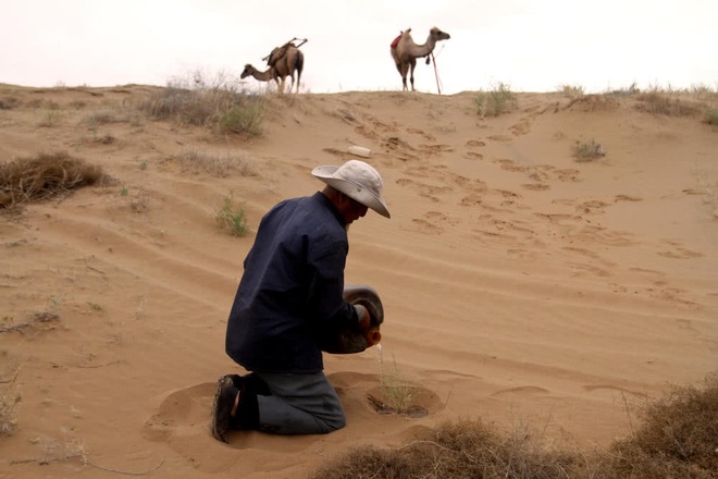 Hành trình kỳ diệu của ông lão 80 tuổi suốt 20 năm trồng cây giữa sa mạc - 6
