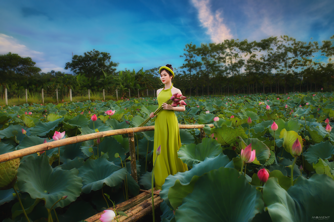 Vóc dáng nuột nà bên hoa sen là món quà đầy quyến rũ cho mắt của người xem. Điểm nhấn của hình ảnh chính là sự thanh thoát của cô gái trẻ bên chiếc bó sen. Cảm nhận đường nét tinh tế và uyển chuyển, thể hiện sự thanh lịch và vẻ đẹp của người phụ nữ Việt Nam.