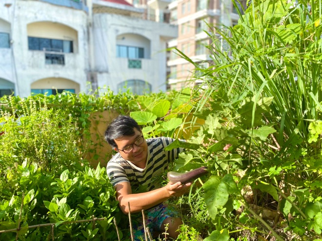 Mê mẩn khu vườn trồng rau, ngắm chim, thưởng trà của chàng trai Sài Gòn - 8