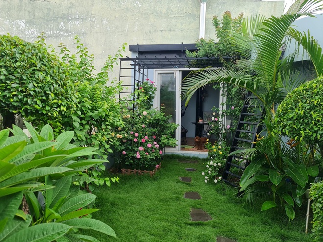 Vác đất lên sân thượng, mẹ đảm Bình Dương trồng vườn hồng ngát hương - 3 Vác đất lên sân thượng, mẹ đảm Bình Dương trồng vườn hồng ngát hương - 3