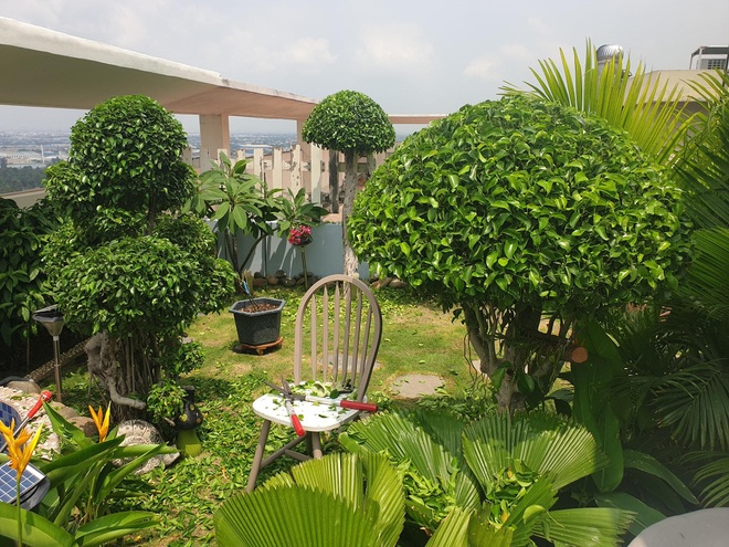 Vác đất lên sân thượng, mẹ đảm Bình Dương trồng vườn hồng ngát hương - 10 Vác đất lên sân thượng, mẹ đảm Bình Dương trồng vườn hồng ngát hương - 10