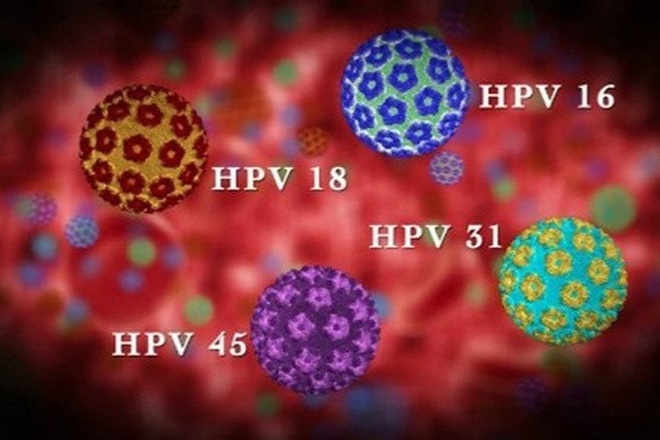 Điểm danh các chủng HPV gây ung thư - 2