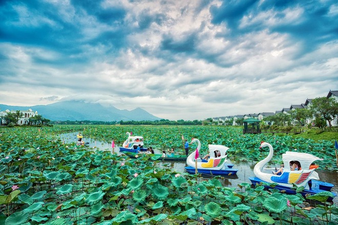 Vườn Vua Resort Villas khởi tạo festival hoa sen tại đầm sen Bạch Thủy - 3 Vườn Vua Resort Villas khởi tạo festival hoa sen tại đầm sen Bạch Thủy - 3