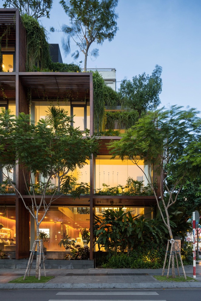 Tòa nhà ở Sài Gòn được phủ xanh như rừng nhiệt đới, đánh bật nắng nóng - 9