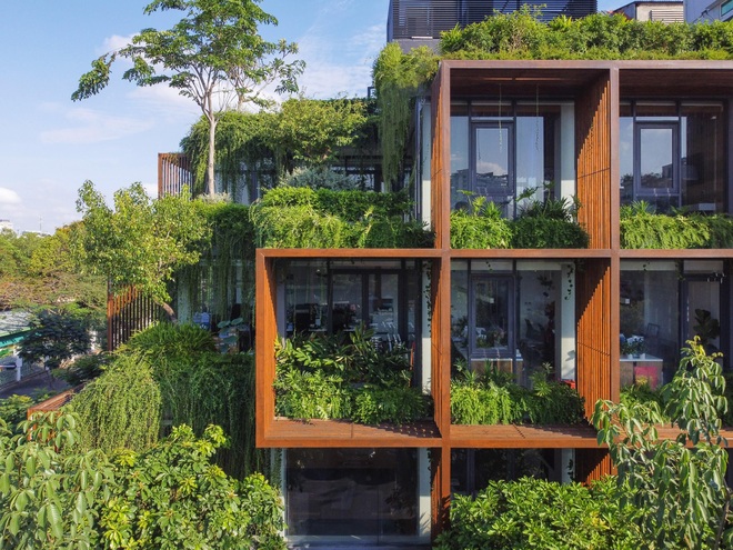 Tòa nhà ở Sài Gòn được phủ xanh như rừng nhiệt đới, đánh bật nắng nóng - 10
