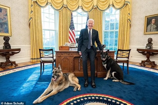 Gia đình Tổng thống Mỹ Joe Biden thông tin về sự ra đi của cún cưng - 2