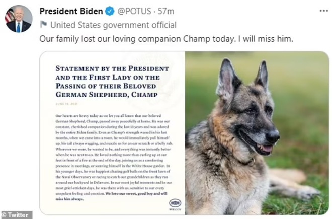 Gia đình Tổng thống Mỹ Joe Biden thông tin về sự ra đi của cún cưng - 5 Gia đình Tổng thống Mỹ Joe Biden thông tin về sự ra đi của cún cưng - 5