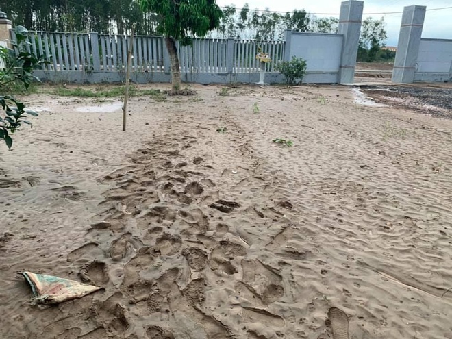 Cô gái Quảng Trị bỏ phố về quê làm nông nghiệp sạch, sống tối giản - 8 Cô gái Quảng Trị bỏ phố về quê làm nông nghiệp sạch, sống tối giản - 8