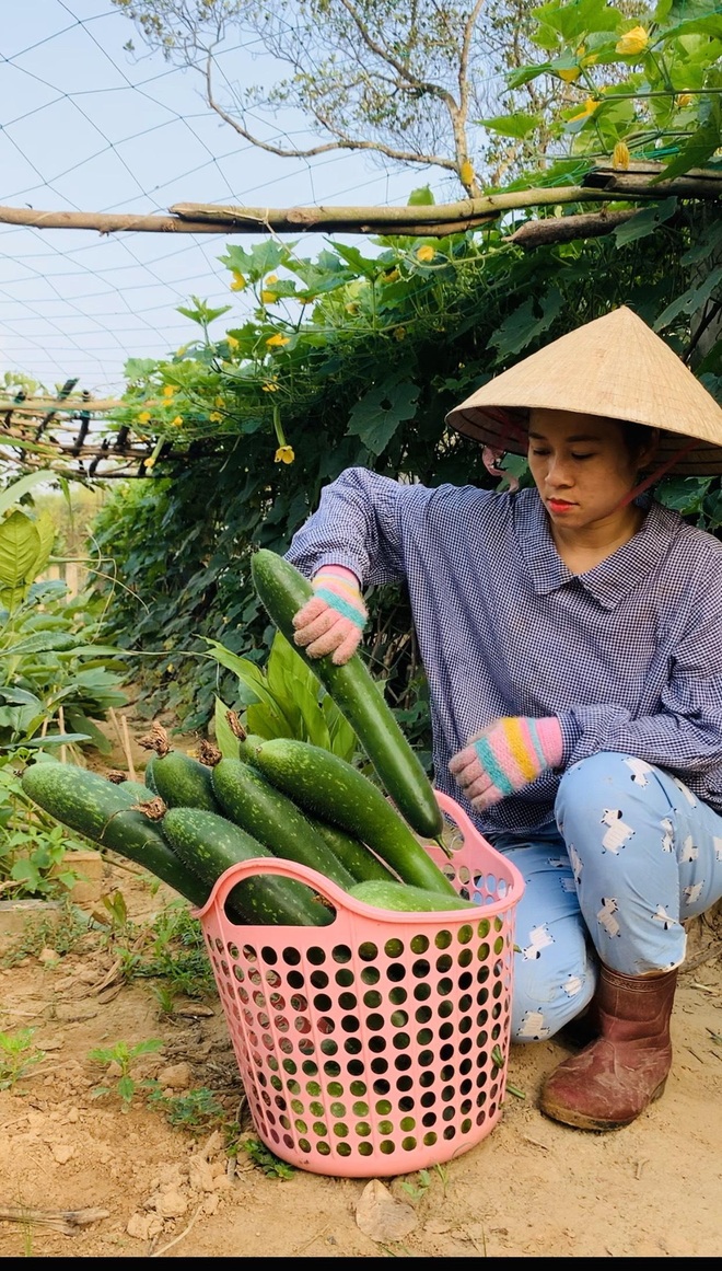 Cô gái Quảng Trị bỏ phố về quê làm nông nghiệp sạch, sống tối giản - 10