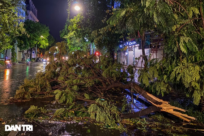 Cơn mưa lớn giải nhiệt nắng nóng ở Hà Nội khiến nhiều cây gẫy đổ, ngập úng - 6