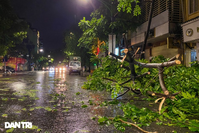 Cơn mưa lớn giải nhiệt nắng nóng ở Hà Nội khiến nhiều cây gẫy đổ, ngập úng - 5