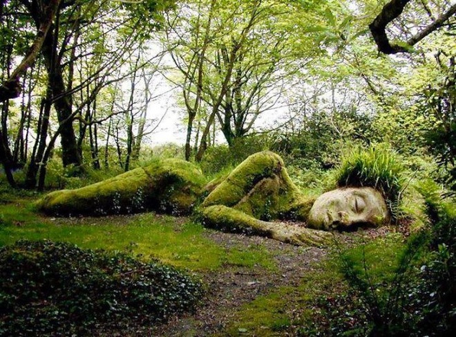 Bí ẩn tượng thiếu nữ nằm ngủ trong rừng, biến đổi theo mùa - 1