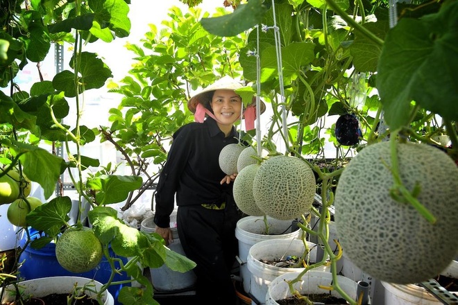 Khu vườn ngập rau xanh giữa Sài Gòn, muốn ăn thực phẩm sạch lúc nào cũng có - 1 Khu vườn ngập rau xanh giữa Sài Gòn, muốn ăn thực phẩm sạch lúc nào cũng có - 1