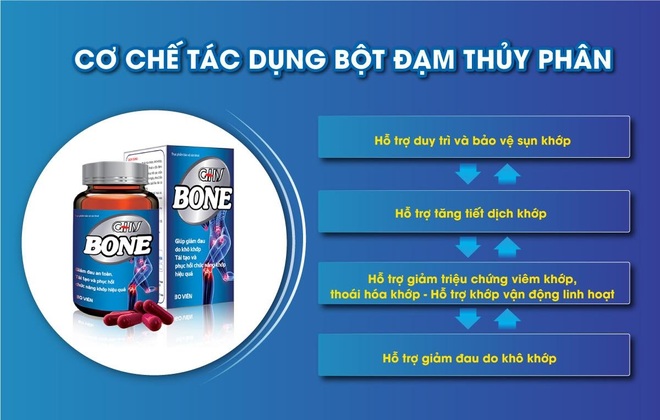 Viên khớp GHV Bone - trao món quà bảo vệ xương khớp cho người thân yêu - 2 Viên khớp GHV Bone - trao món quà bảo vệ xương khớp cho người thân yêu - 2