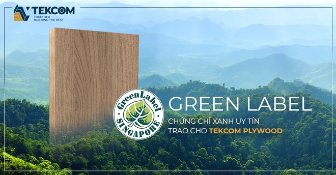 Hướng đến sức khỏe và môi trường, Plywood TEKCOM được cấp chứng nhận Green Label - 1