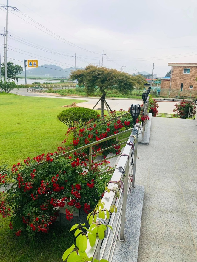Nhà vườn 2.000m2 giữa cảnh sơn thủy hữu tình của nàng dâu Việt ở Hàn Quốc - 2 Nhà vườn 2.000m2 giữa cảnh sơn thủy hữu tình của nàng dâu Việt ở Hàn Quốc - 2