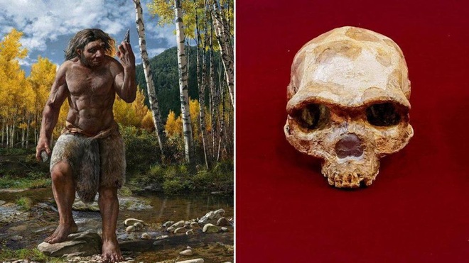 Bí ẩn hộp sọ cổ đại kỳ lạ phát hiện ở Trung Quốc, giải mã sau gần 100 năm - 3