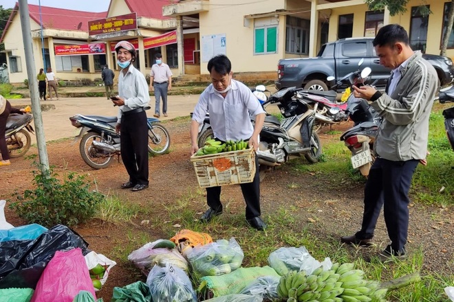 Người dân gom khoai lang, bí đỏ, rau xanh gửi tặng TPHCM chống dịch - 5 Người dân gom khoai lang, bí đỏ, rau xanh gửi tặng TPHCM chống dịch - 5