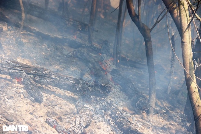 Huy động 300 người vượt núi dập lửa cứu rừng giữa trời nắng nóng - 4
