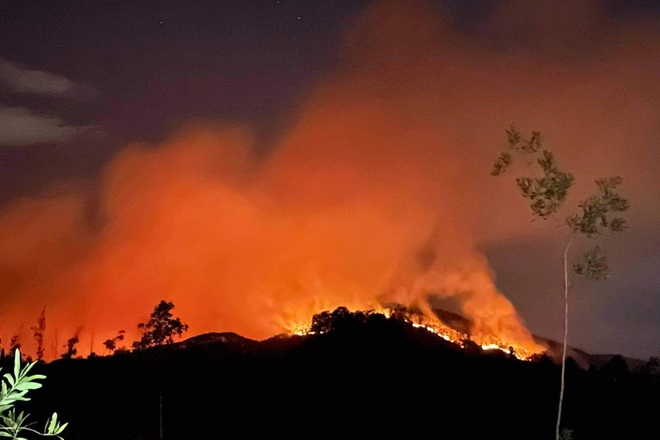 Nhiều đám cháy rừng dữ dội bùng phát suốt đêm ở Thừa Thiên Huế - 10