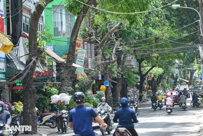 Những con đường giúp giải nhiệt giữa ngày nắng nóng ở Hà Nội - 9