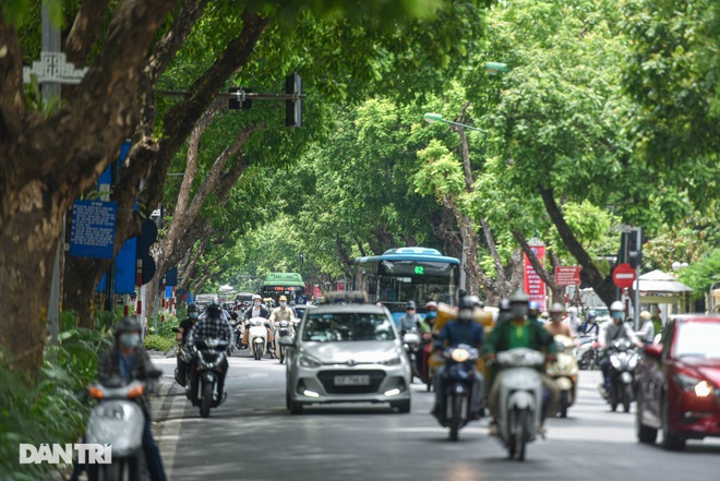 Những con đường giúp giải nhiệt giữa ngày nắng nóng ở Hà Nội - 12