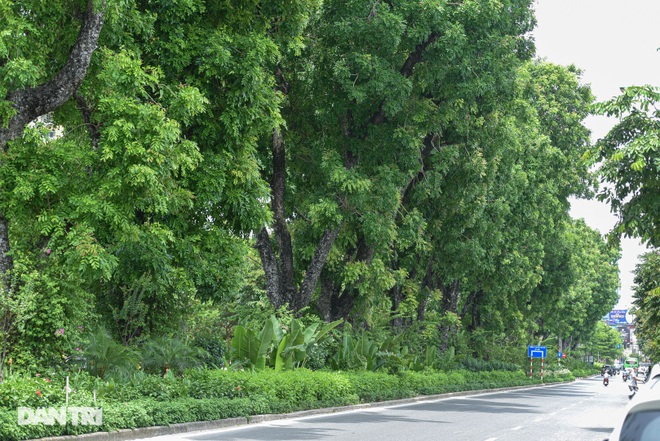 Những con đường giúp giải nhiệt giữa ngày nắng nóng ở Hà Nội - 11