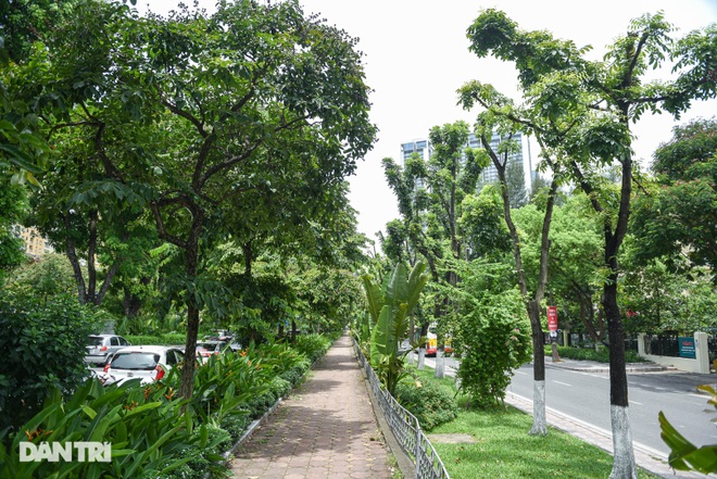 Những con đường giúp giải nhiệt giữa ngày nắng nóng ở Hà Nội - 10