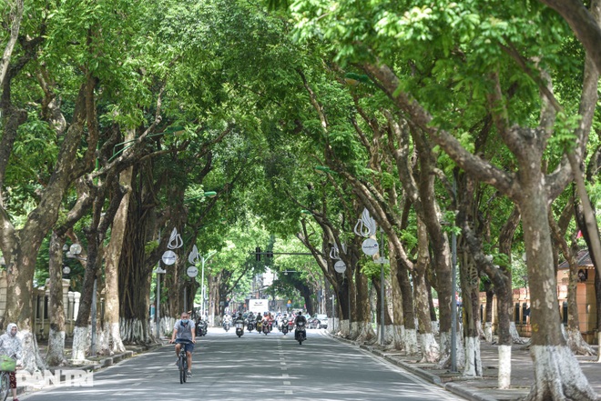 Những con đường giúp giải nhiệt giữa ngày nắng nóng ở Hà Nội - 7