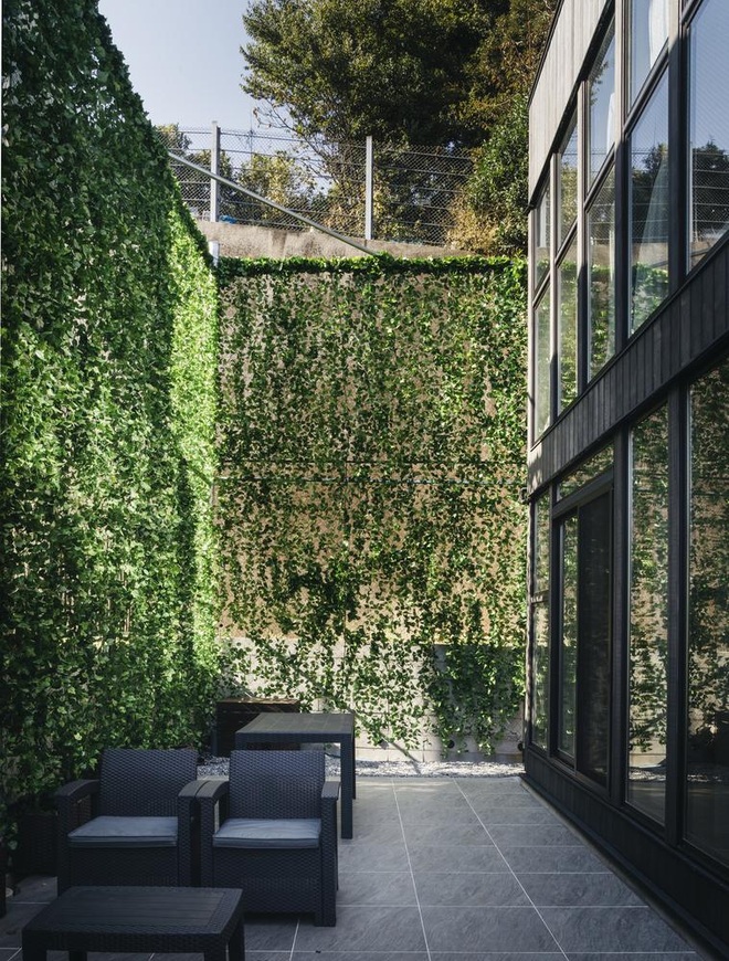 Gia chủ đập tường, tạo mảng xanh cao 6m như tấm rèm giúp cả nhà mát mẻ - 4
