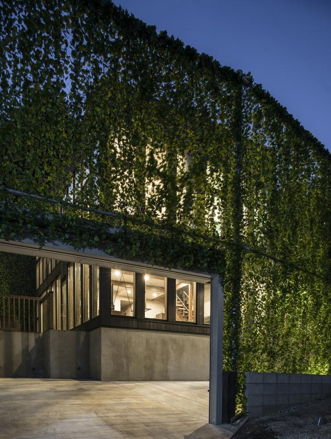 Gia chủ đập tường, tạo mảng xanh cao 6m như tấm rèm giúp cả nhà mát mẻ - 8