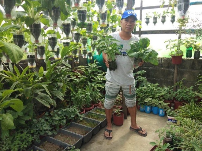 Người đàn ông nghỉ việc, tái chế chai nhựa trồng rau sạch hái không xuể - 1