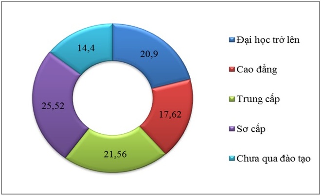 Ưa chuộng bằng cấp, con muốn học nghề nhưng cha mẹ lại cản ngăn - 2