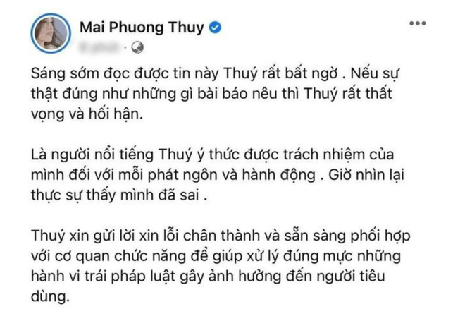 Nóng chuyện gia thế hiển hách và quá khứ ngỡ ngàng của các mỹ nhân Việt - 13