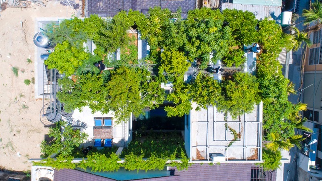 Ngôi nhà ở Đà Nẵng có vườn cây ăn quả sai trĩu trên mái - 2