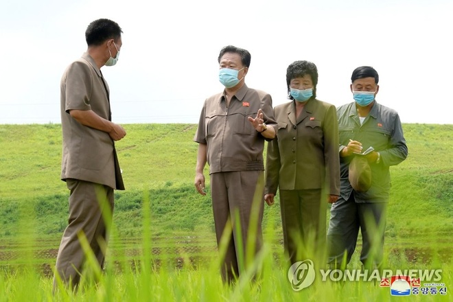 Rộ tin đồn về sức khỏe của ông Kim Jong-un, tình báo Hàn Quốc lên tiếng - 2