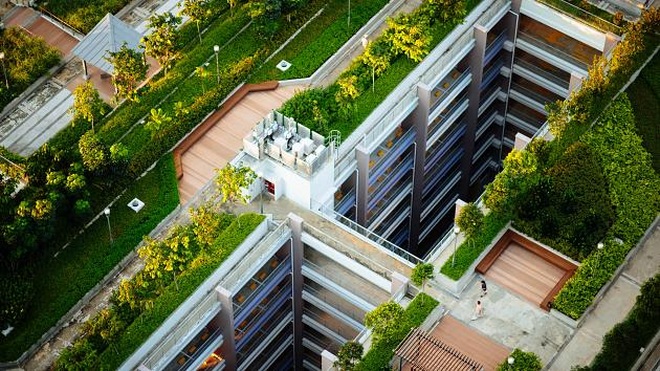 Nơi đầu tiên trên thế giới bắt người dân phải trồng cây trên mái nhà - 1 Nơi đầu tiên trên thế giới bắt người dân phải trồng cây trên mái nhà - 1