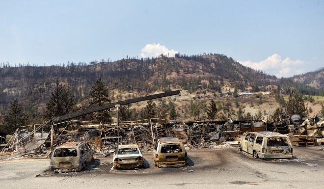California điều động dê chống cháy rừng giữa nắng nóng kỷ lục ở Bắc Mỹ - 4