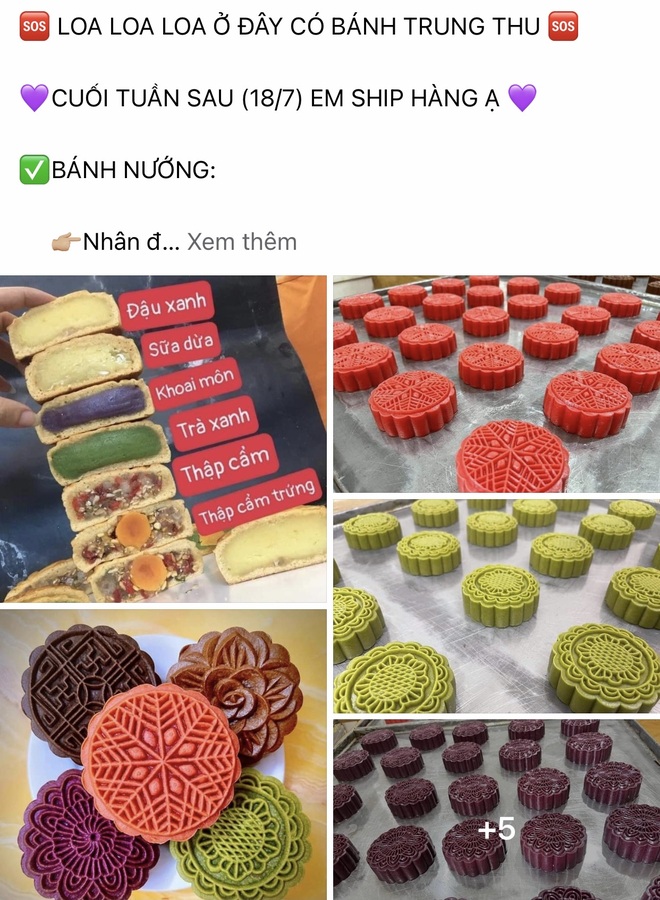 Bất chấp nắng nóng đỉnh điểm, tiểu thương mở bán bánh trung thu sớm - 1