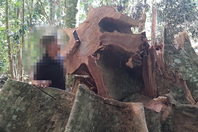 Giao khoán diện tích rừng bị lâm tặc phá cho cộng đồng làng Đê Kôn quản lý - 5