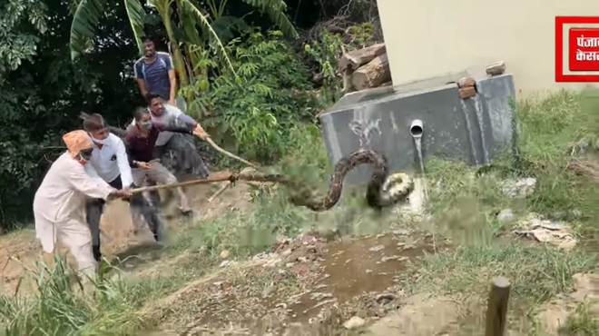 Clip: Rùng mình khoảnh khắc đưa trăn khổng lồ ra khỏi bể nước - 1 Clip: Rùng mình khoảnh khắc đưa trăn khổng lồ ra khỏi bể nước - 1