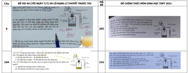 Một thầy giáo bị tố ôn tập giống 80% đề thi môn Sinh: Bộ GD-ĐT xác minh - 1