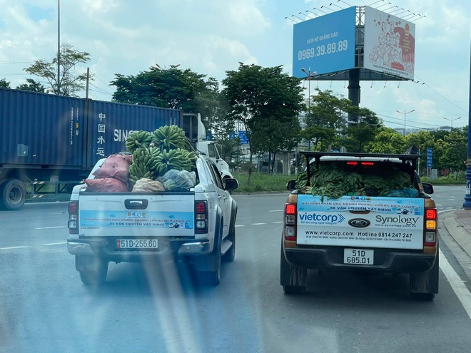 Biệt đội 80 xe bán tải vận chuyển lương thực tiếp sức TPHCM chống dịch - 4