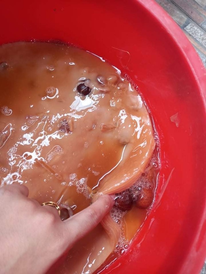 Người phụ nữ bật bí cách làm nước tẩy rửa từ bồ hòn và phế phẩm nông nghiệp - 7 Người phụ nữ bật bí cách làm nước tẩy rửa từ bồ hòn và phế phẩm nông nghiệp - 7