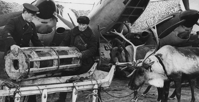 Tiểu đoàn xe tuần lộc: Những người hùng thầm lặng của Hồng quân Liên Xô - 1